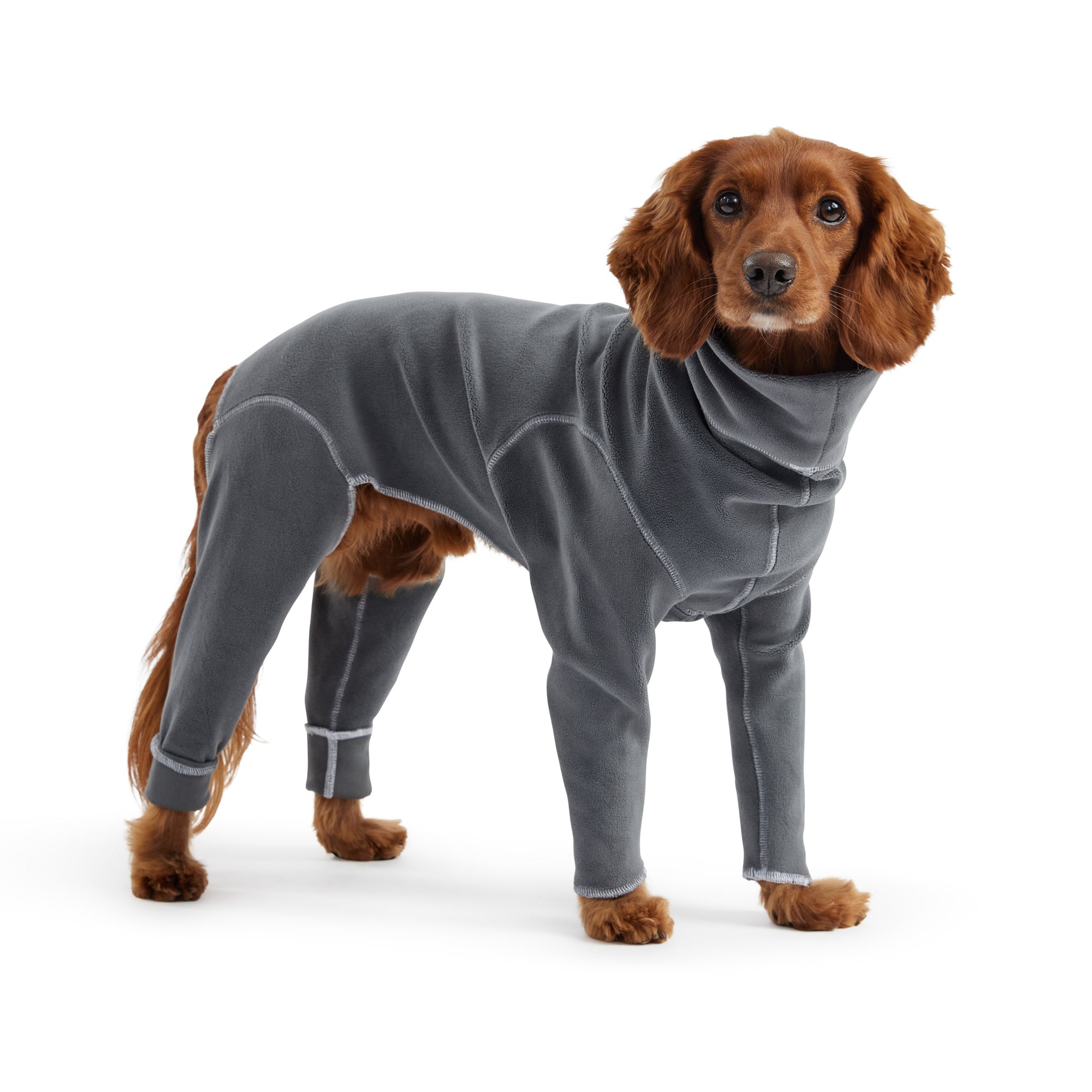 Gondola Onesie - Charcoal – GF Pet.us