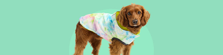 Regular Raincoats