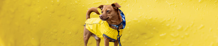 Raincoats
