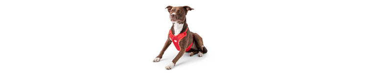 Harnesses