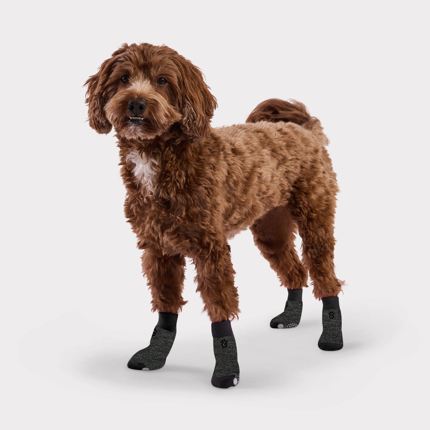 Indoor Anti-Slip Pet Socks with paw shaped grip pad