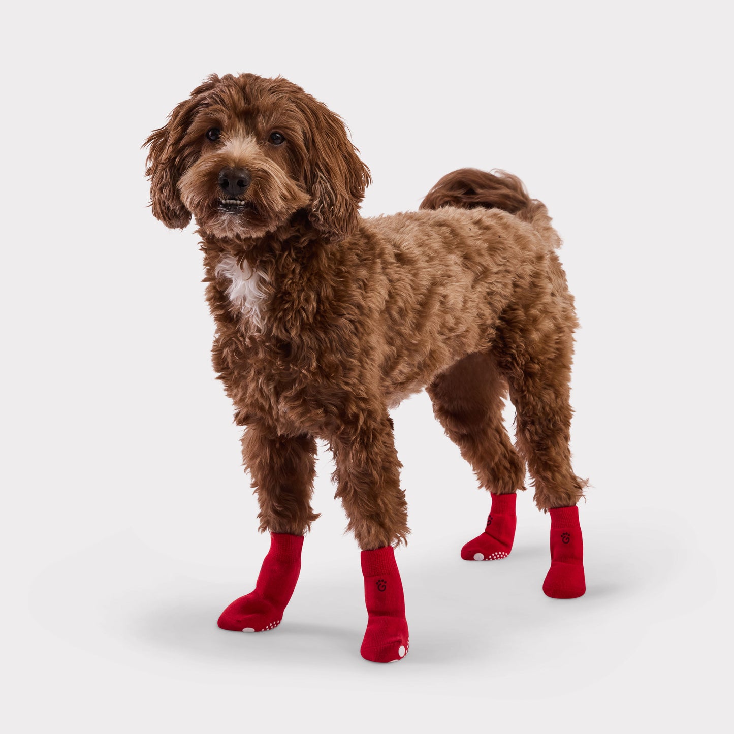 Indoor Anti-Slip Pet Socks with paw shaped grip pad