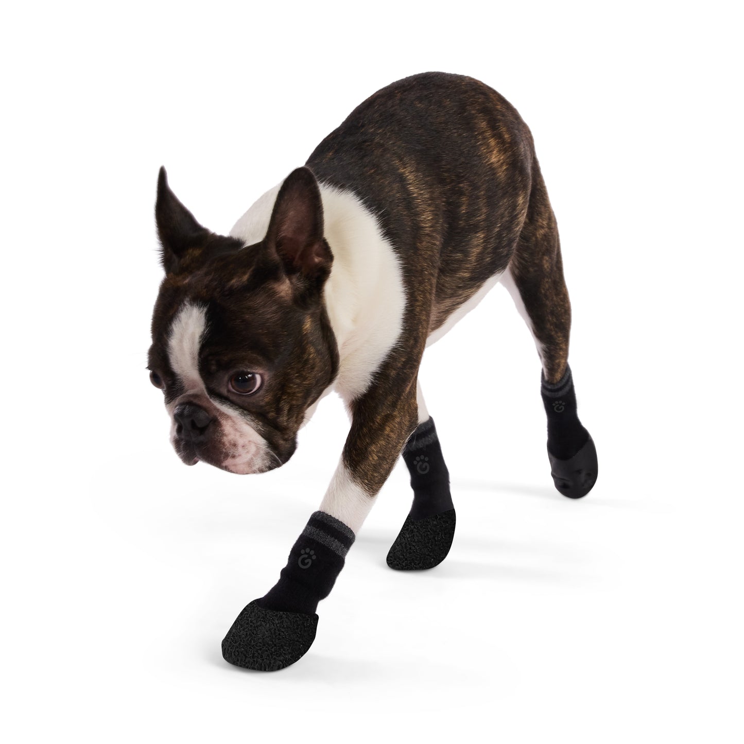 Indoor Anti-Slip Pet Socks with paw shaped grip pad