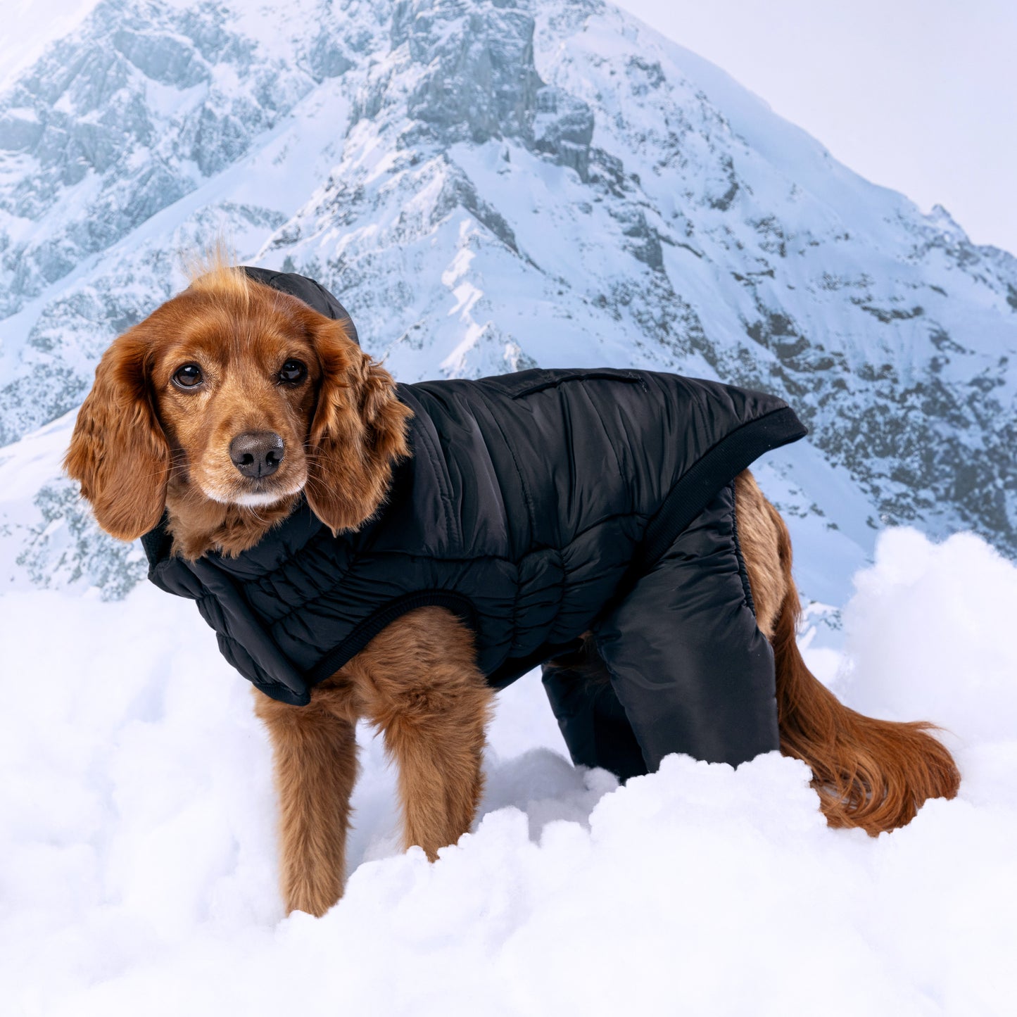 Odysey Snowsuit
