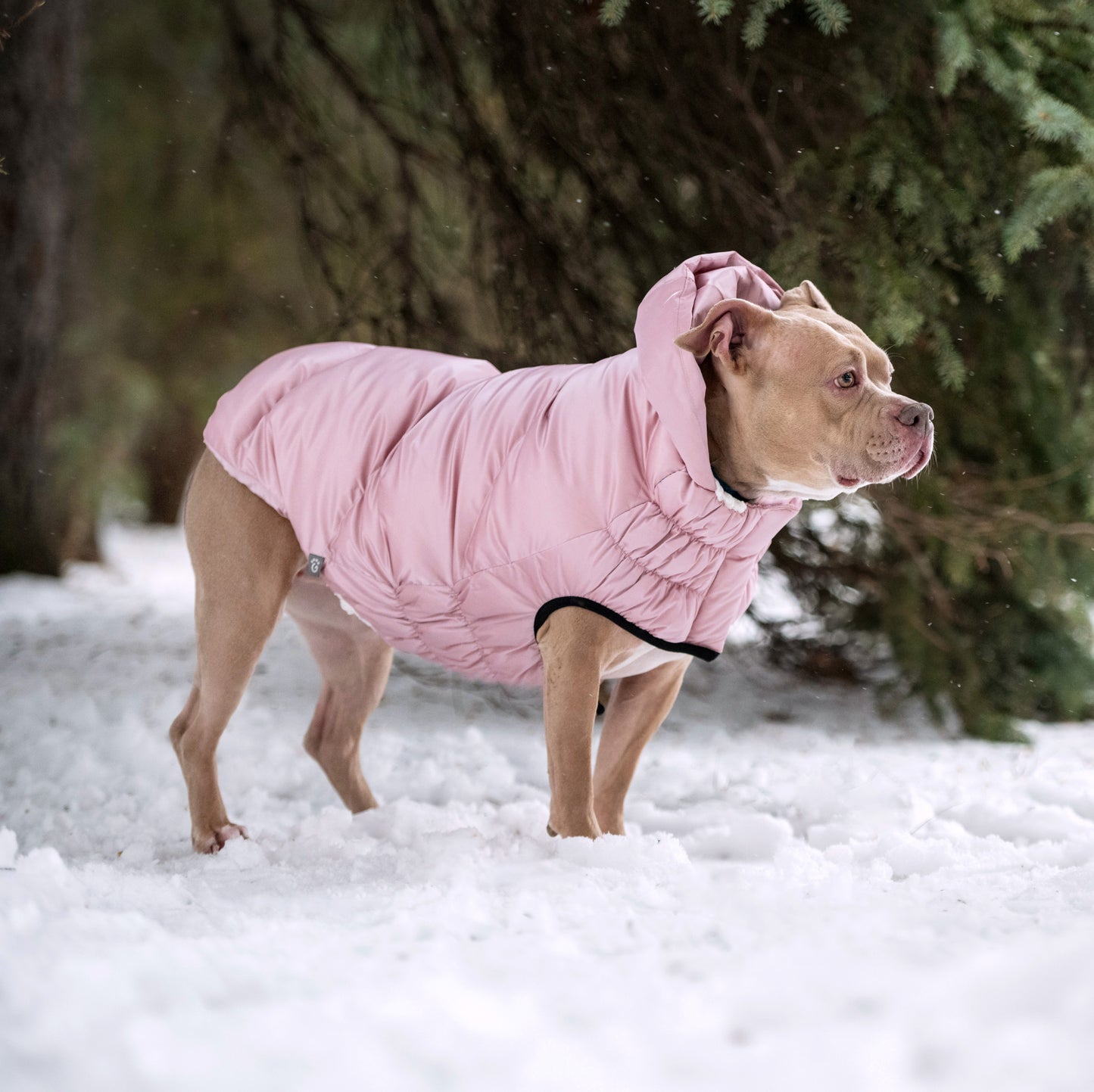 Lunar Glow Parka