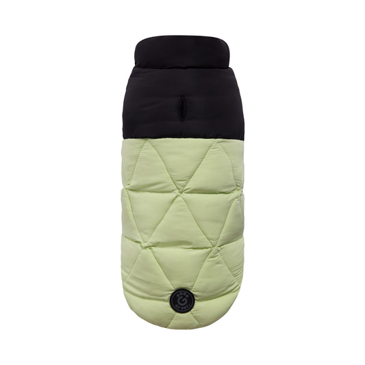 Diamond Puffer