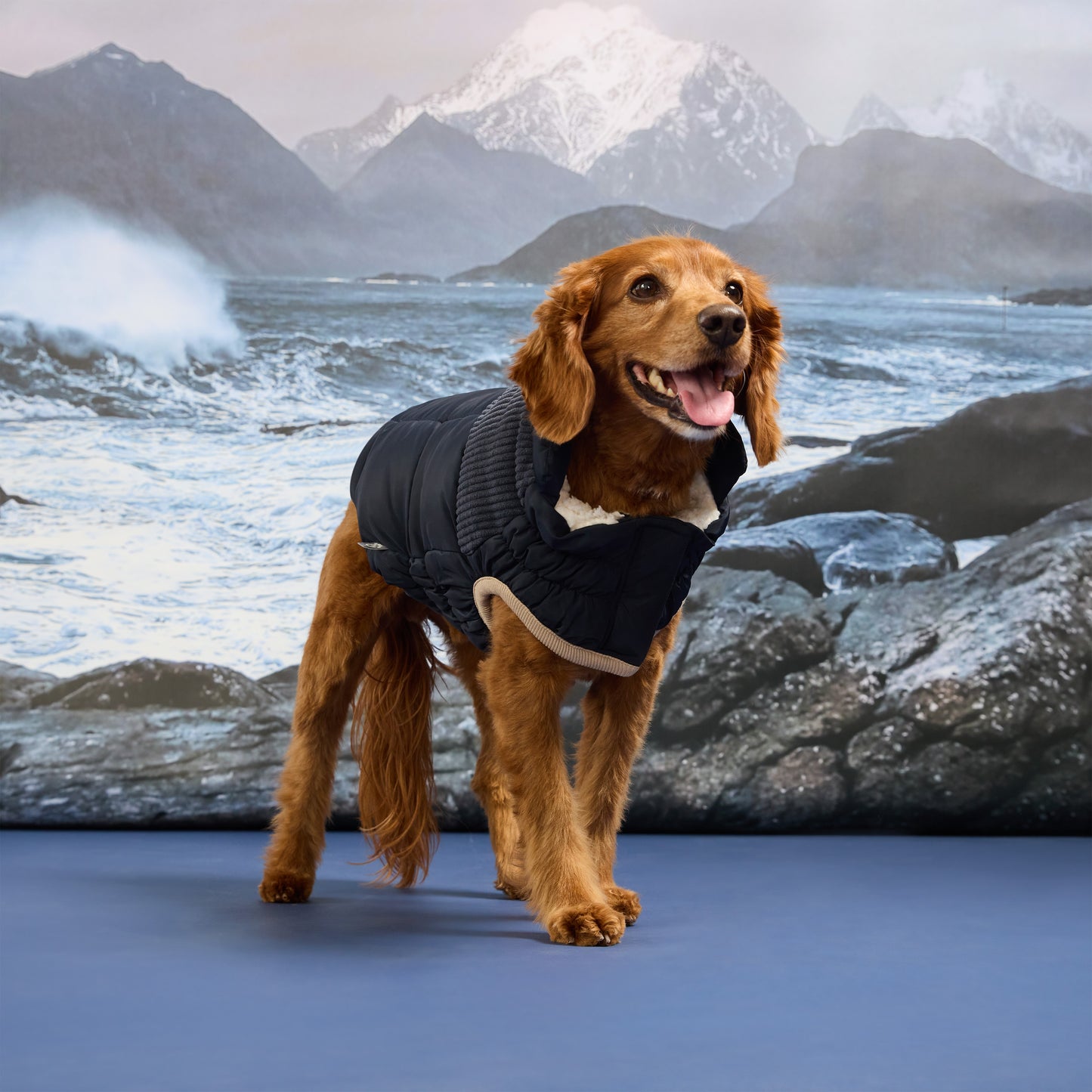 Cold Mountain Puffer