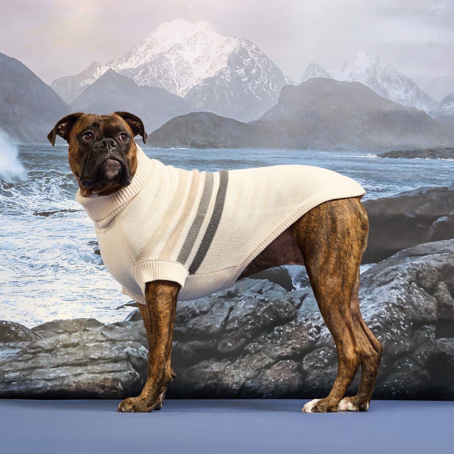 Coastline Knit Sweater
