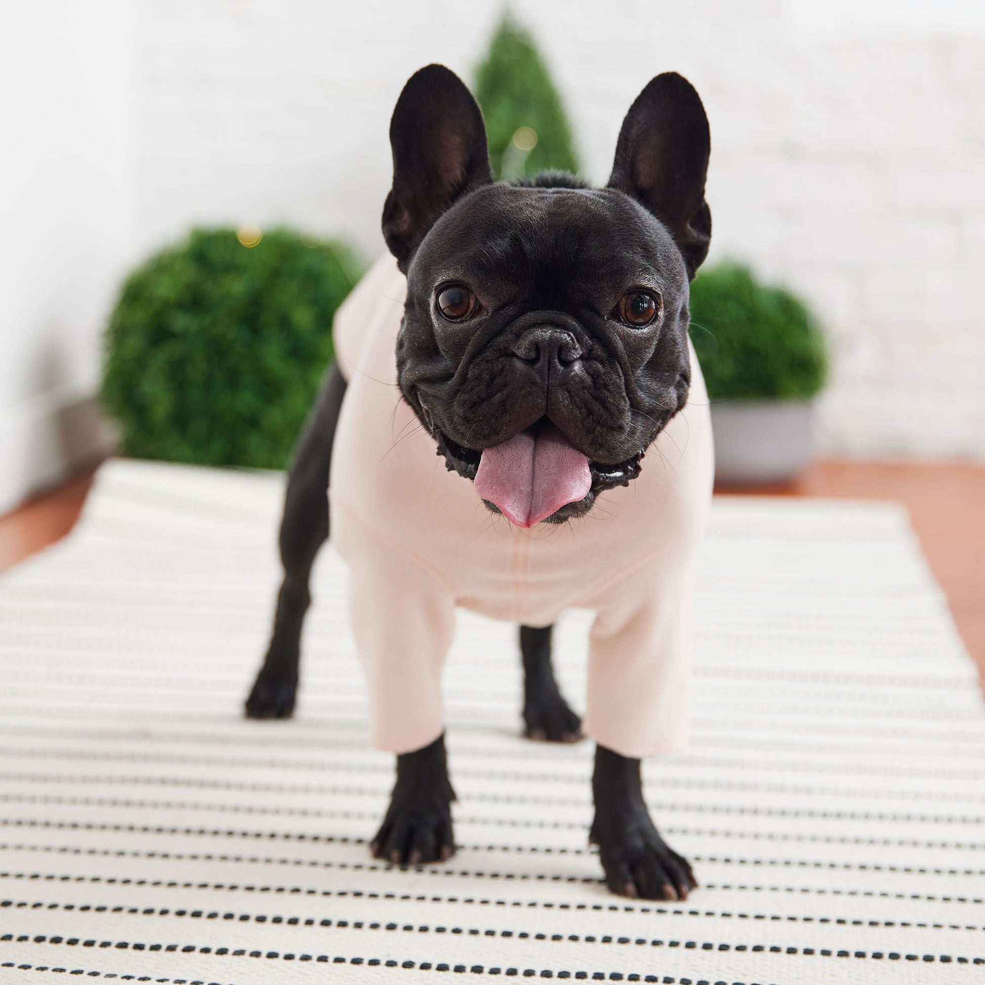 Cute base layers sale