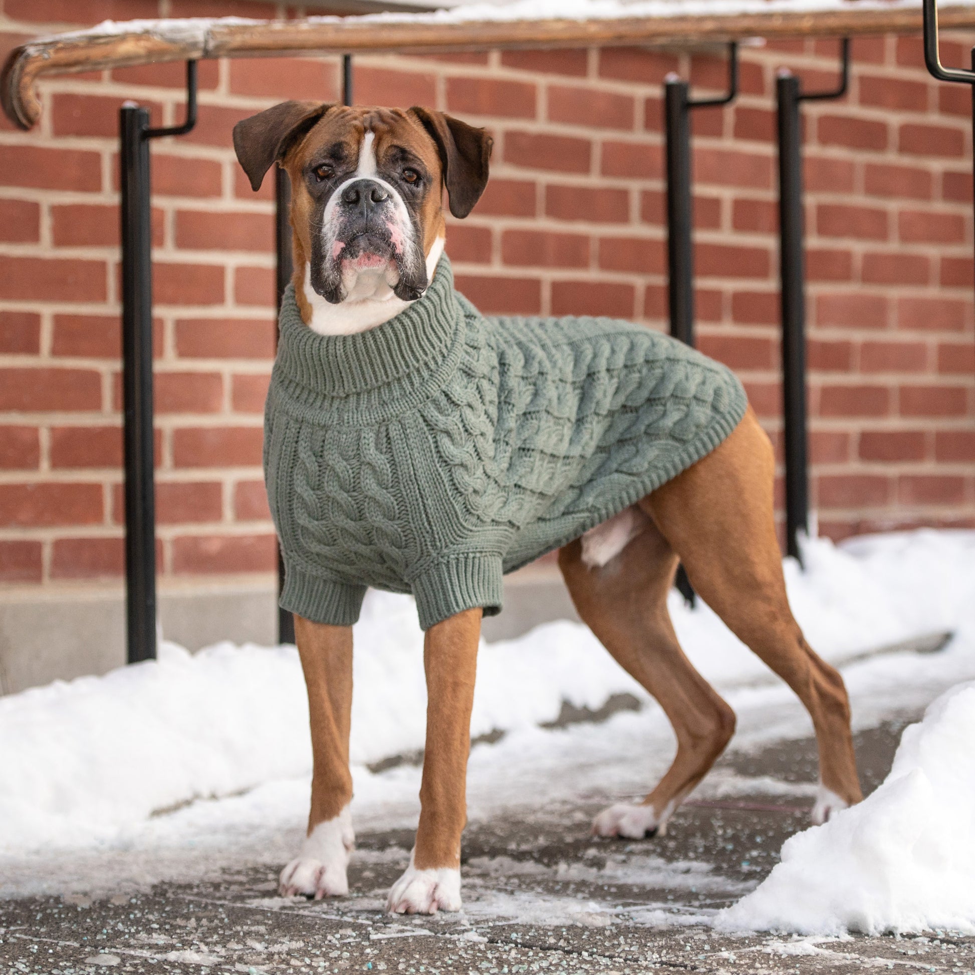 sage green dog dress Sage Green Dog Tuxedo: Custom Wedding Outfit, Formal Attire
